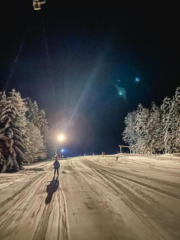 Ferienwohnung "Am Skilift" Herrischried Exterior foto