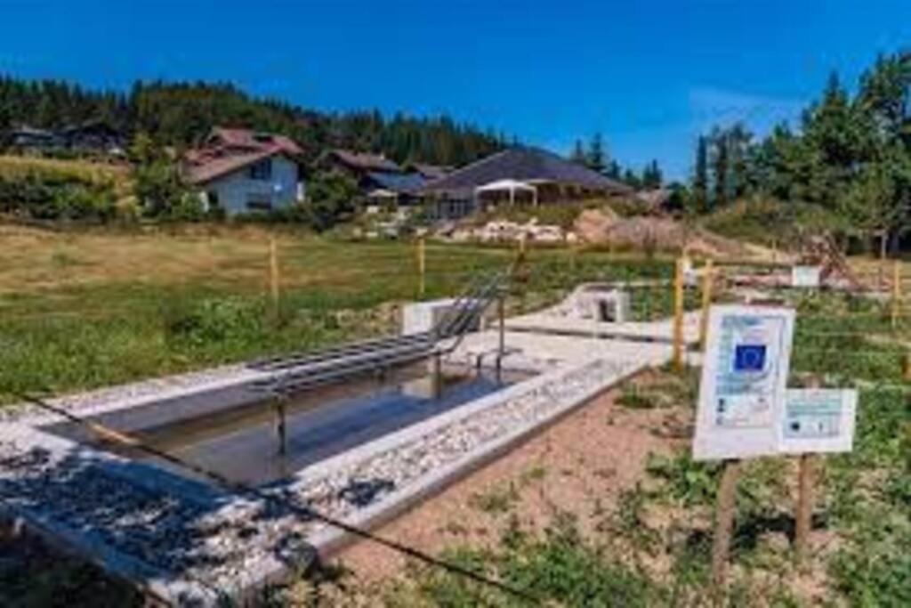 Ferienwohnung "Am Skilift" Herrischried Exterior foto