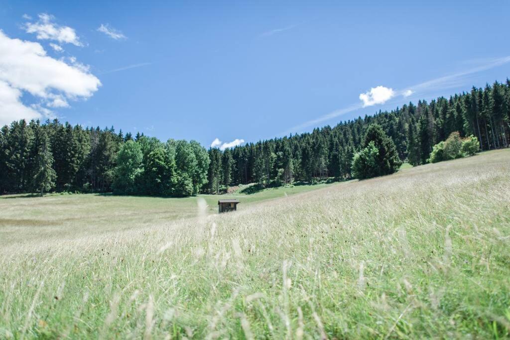 Ferienwohnung "Am Skilift" Herrischried Exterior foto